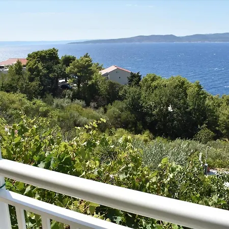 Pensjonat Vineyard Oaza 3*