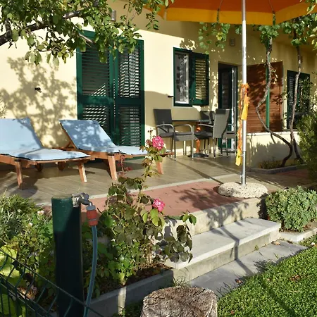 Vineyard Oaza Pensjonat 3*