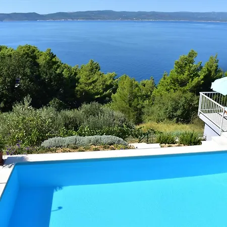 Vineyard Oaza Guest house
