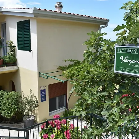 Vineyard Oaza بريلا